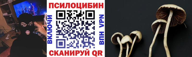 Псилоцибиновые грибы Psilocybine cubensis Выкса